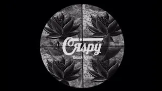 Thumbnail: CRSPY - Black Lotus