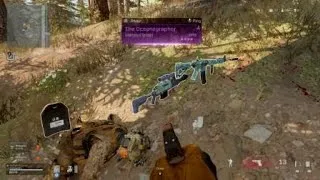 Thumbnail: Clutch after fresh spawn
