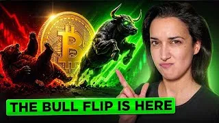 Thumbnail: Bitcoin Just Reclaimed $80K — Is the Next Bull Run Starting? (Get Ready for the Next Bull Cycle...)