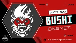 Thumbnail: Interview with Leon from OneNet and PlayBushi