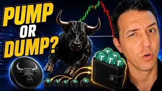 Thumbnail: Pump or Dump? Black Bull Meme Coin, Ansem’s Influence, Wallet Payouts and the Risks Behind the Hype