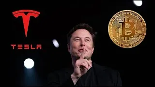 Thumbnail: Elon Musk and Bitcoin #cryptotrading #bitcoin