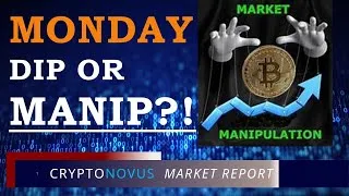 Thumbnail: DIP or Manipulation - SEE WHICH TWO WHALES BENEFITED