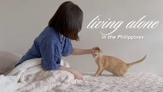 Thumbnail: Living Alone Diaries: cooking, vet visit, Korean mart shopping, organizing