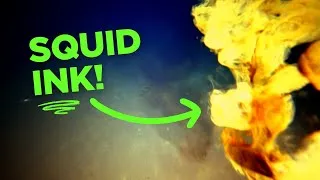 Thumbnail: Squid ink blast! Underwater camera gets ‘inked’ as scientists look for marine life around a volcano