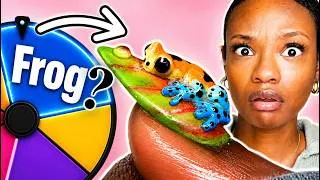 Thumbnail: My Subscribers Picked My Nails… But There Was One Rule