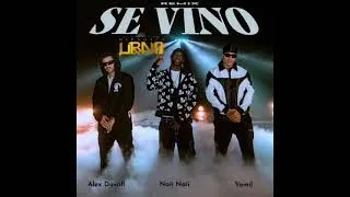 Thumbnail: Se Vino - Yomil Champions feat Naii Naii x Alex Duvall