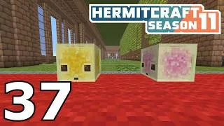Thumbnail: Hermitcraft 11: Complex Upgrades! (Episode 37)