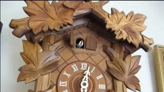 Thumbnail: 23 cuckoo bird calls in 50 seconds - Cuckoo Clock 'Coo Coo" Compilation