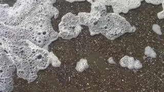 Thumbnail: Morphing pareidolia