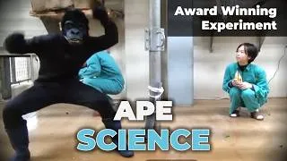 Thumbnail: Scientists Made Movies For Chimpanzees (They LOVED It)