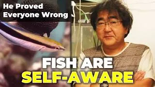 Thumbnail: We've Been Testing For Consciousness Wrong
