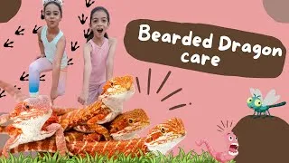 Thumbnail: Bearded Dragon Care// Educational Videos For Kids// Kids Learning About Animals// Kids Animals//Pets