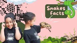 Thumbnail: Snakes - Facts About Snakes For Kids// Reptiles For Kids// Learning Videos For Kids.