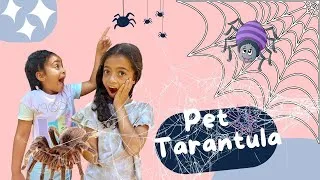Thumbnail: Creepy crawly Spiders//Pet Tarantulas// Kids Educational video//Animation and fun adventures.