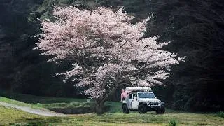 Thumbnail: 5 Days Living in my Jeep: Spring Road Trip through Southern Japan