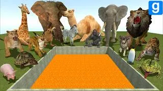Thumbnail: I Spartan Kicked Every Animal Into the LAVA Big Hole… Nobody Escaped! (GMod)