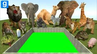Thumbnail: I Spartan Kicked Every Animal Into the TOXIC Big Hole… Survival Was Impossible! (GMod)