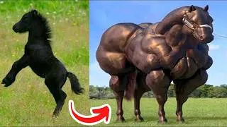 Thumbnail: Before   After Animals Growing Up   Amazing Animal   Transformation Animals Grow Up41