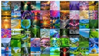 Thumbnail: So beautiful 😍 nature dp for whatsapp || beautiful nature flowers picture, wallpapers, images||