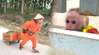 Thumbnail: Where Did CUTIS Go BUEM Finds Him Doing Something Unexpected