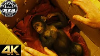 Thumbnail: [4K UHD] Will Introduces Caesar To His Father CUTSCENE | Rise of the Planet of the Apes (2011)