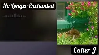 Thumbnail: No Longer Enchanted © Original Lyrics