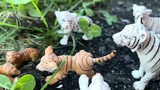 Thumbnail: A Tiger’s Revenge Part 5 | The Tigers Moved