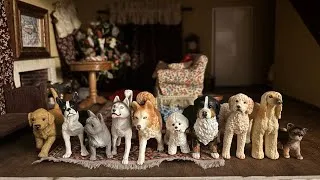 Thumbnail: A House With 10 Dogs 🐕| Home Alone