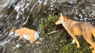 Thumbnail: The Wild Coyotes | We need to hunt!
