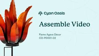 Thumbnail: Video of installation (CO-PD001-02) | Flame Agave