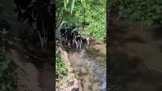 Thumbnail: Where's your happy place? #cyclingadventures #adventurecycling #bicycleadventures #bikeadventure