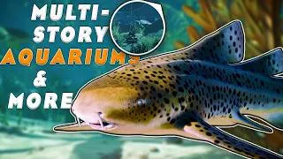 Thumbnail: Planet Zoo 2 Aquariums Are WAY Bigger Than We Thought…| Animal Spotlight | Planet Zoo 2