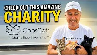 Thumbnail: I Visited The Cops Cats Tea Room In Cyprus – You Have To See This!