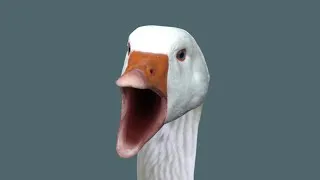 Thumbnail: HONK