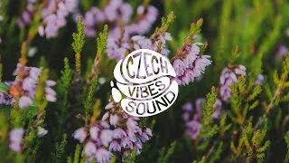 Thumbnail: mell-ø - serendipitous