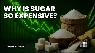 Thumbnail: Why Are Sugar Prices Rising in India? Explained