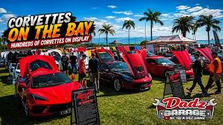 Thumbnail: Corvettes on the Bay, 100's of Corvettes Downunder