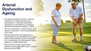 Thumbnail: Arterial Dysfunction