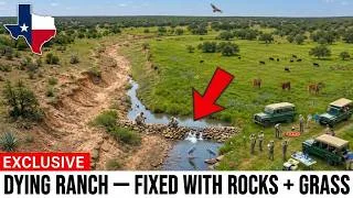 Thumbnail: How a US Businessman Used Grass and Rocks to Bring a Dying Texas Ranch Back