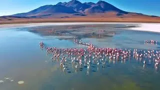 Thumbnail: Where in the World is Bolivia