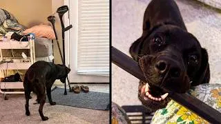 Thumbnail: It Was Her First Day