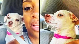 Thumbnail: She Felt Betrayed