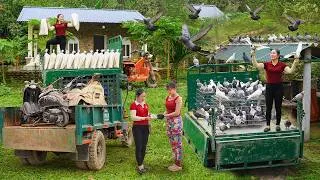 Thumbnail: Full_Video 130 Days Use Truck Transport Wood, Harvest Many Big Fish, Chicken... Go To Sell Villager