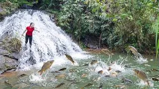 Thumbnail: Creative Fishing Method Using Recycled Plastic Bottles - Catching A Lot Of Fish Go To Sell