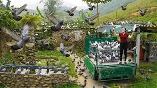Thumbnail: Harvesting All the Pigeons on the Farm – Use Truck To Transport Sell in the Village