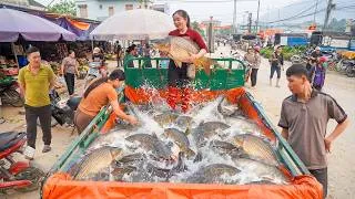 Thumbnail: Use Truck To Buy Lots Of Big Fish And Transport Fish To Crowded Rural Market Sell For Villager