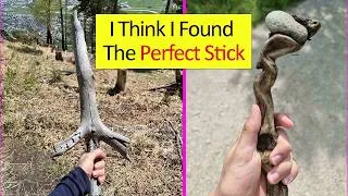 Thumbnail: People Found Some Truly Strange Things in Ordinary Sticks
