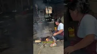 Thumbnail: Missed Doghouse Cleaning: My Mom's House Story
