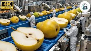 Thumbnail: Inside a Modern Pear Factory: Raw Fruit to Crystal-Clear Juice (Full Process)